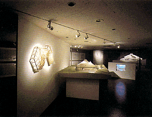 exhibition scene