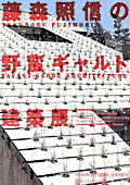 Terunobu Fujimori