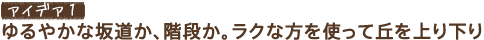 �A�C�f�A1�@���₩�ȍ⓹���A�K�i���B���N�ȕ����g���ċu����艺��B